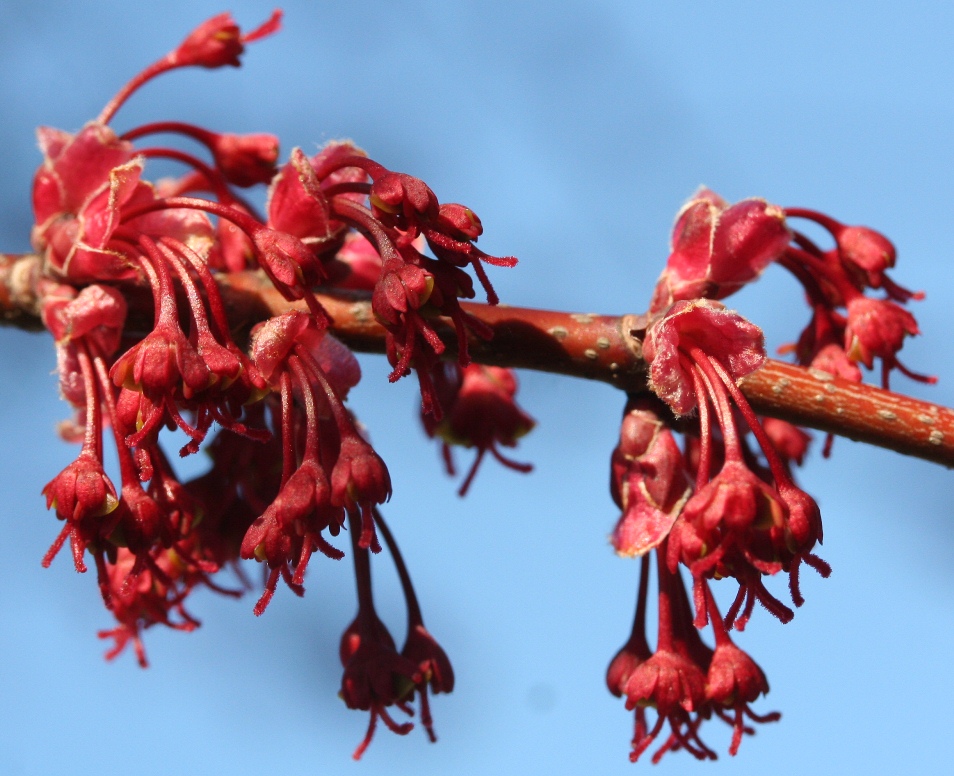 February 2011 Photos